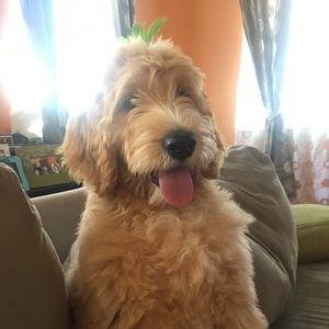 Meet your Posher, Lyn